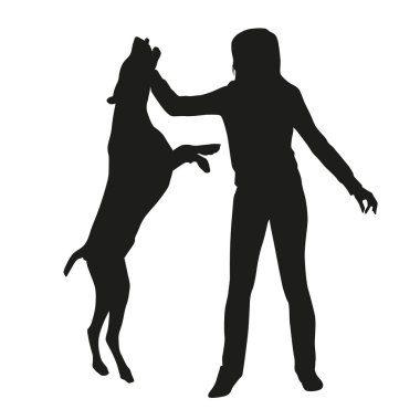 Bir köpek ile kadın. Egzersiz, köpek yürüme yürümek, eğitim. VEC