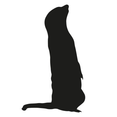 Meerkat izole vektör siluet