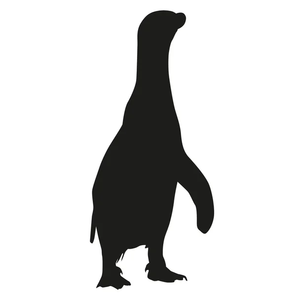 Silhouette isolée vectorielle Pinguin — Image vectorielle