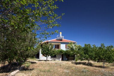 Ağaçlar arasında bir köy evi.