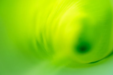 Muz yaprağına yakın çekim, yeşil doğa arka planı