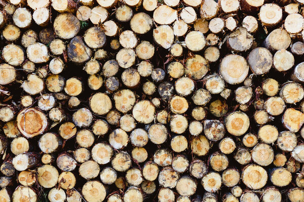 pile of firewood logs background