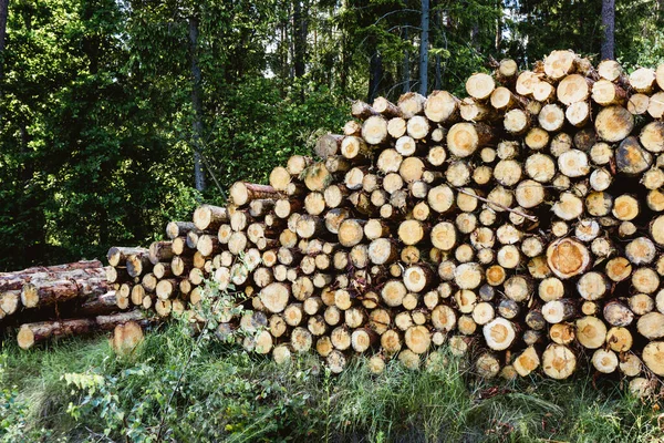 Vedstockar Bakgrund Lantlig Stil — Stockfoto