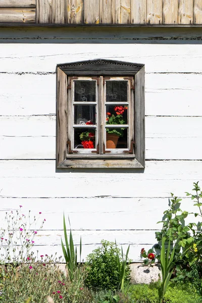 村子里有一朵花的旧木制窗户 — 图库照片