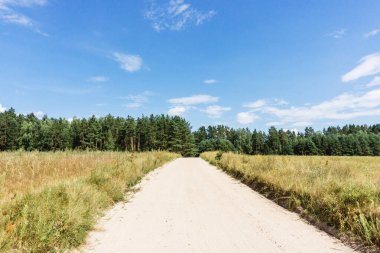 Ormandaki kırsal toprak yol