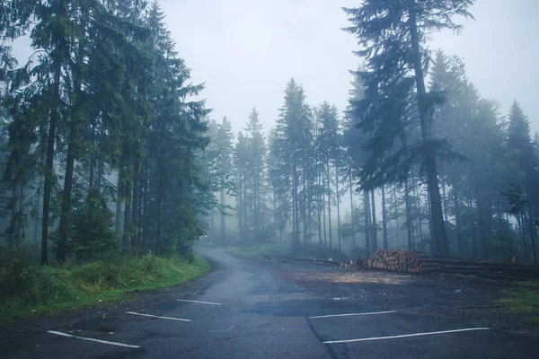 Blick Auf Die Straße Wald Nebligem Tag — Stockfoto