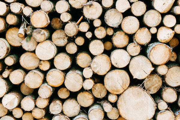 firewood logs background in rural style