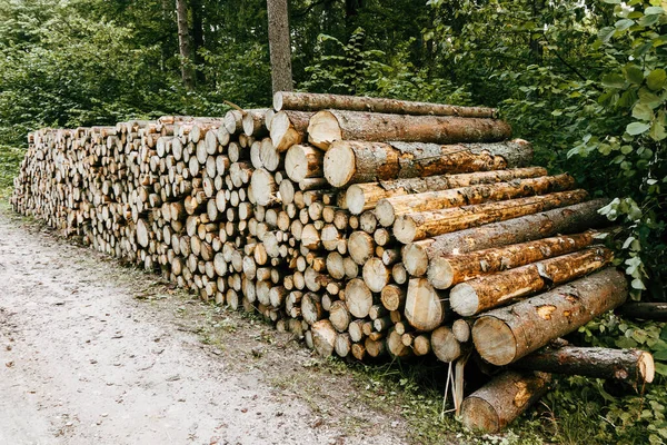 Pile Firewood Logs Stacked Forest — Stockfoto