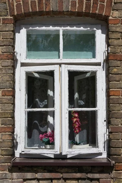 站在一个有红门的旧窗户前的女人 — 图库照片