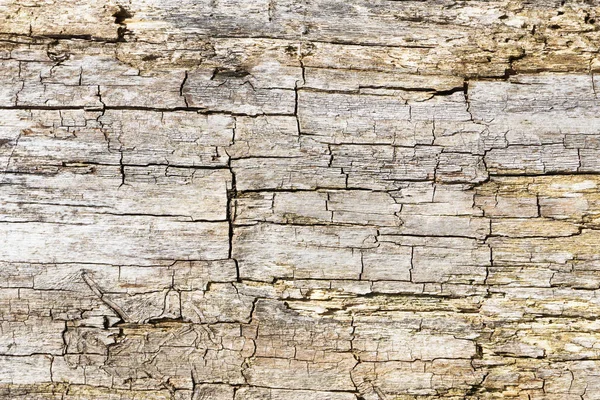 傷のある木の質感 グランジの背景 — ストック写真