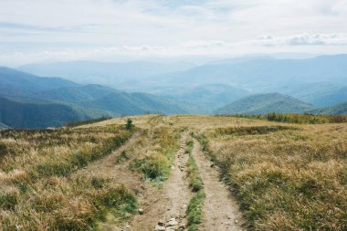 Polonya 'daki Bieszczady Ulusal Parkı. Sonbahar dağ yürüyüşü. Kırsal manzara arka planı. Tepede yürüyüş parkuru..