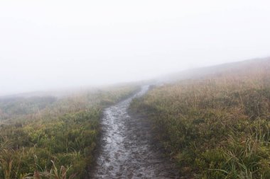 Sisli bir günde dağlarda yol 