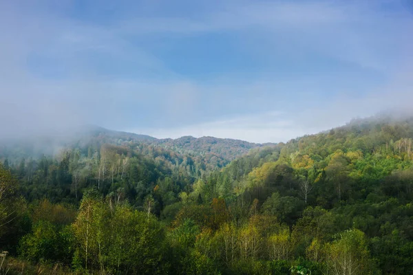 Mystischer Nebliger Morgen Bieszczady Nationalpark Der Polnischen Landschaft Herbstliche Bergwanderungen — Stockfoto