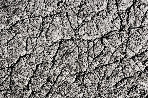 Torr Mark Knäckt Bakgrund Jord Efter Torka Mönster Sprickor Sandjord — Stockfoto