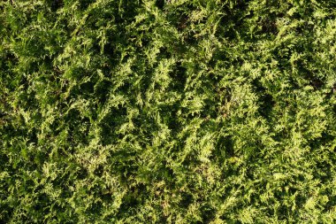 soyut doku desen arkaplan görüntüsü