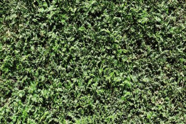 soyut doku desen arkaplan görüntüsü