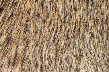 soyut doku desen arkaplan görüntüsü