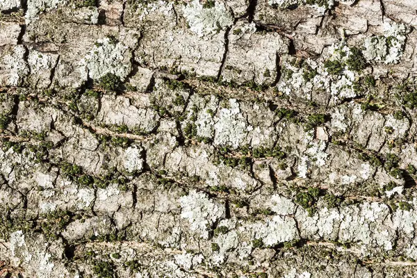 Soyut Doku Desen Arkaplan Görüntüsü — Stok fotoğraf