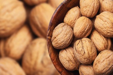 cevizler yakın görünüm