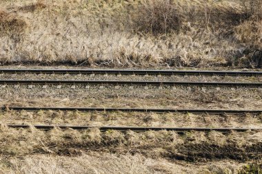 Ormanda demiryolu rayları