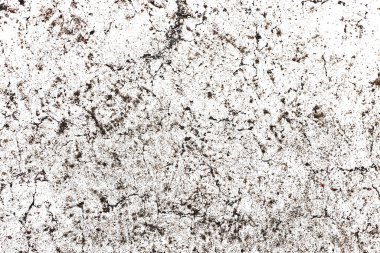 Ağaç kabuğuna yakın çekim