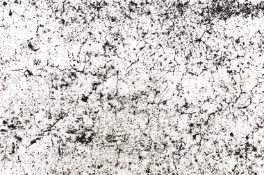 Ağaç kabuğuna yakın çekim