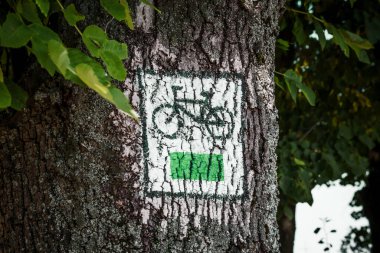 Ormandaki ağaçta bisiklet izi işareti