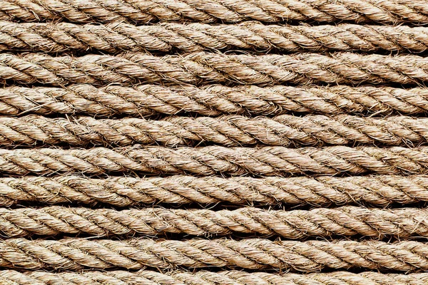 Мотузка Білому Тлі — стокове фото
