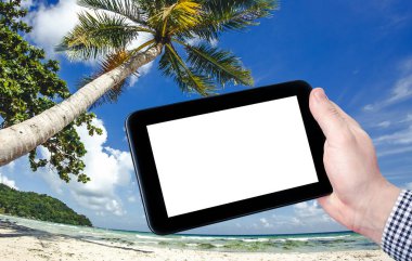 Plajda palmiye yaprağı olan tablet.