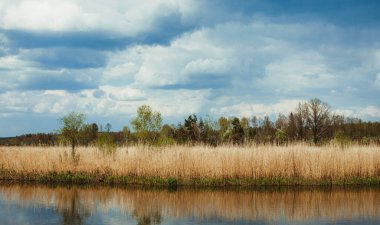 Arka planda nehir ve göl olan güzel bir manzara.