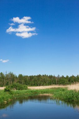 Nehir ve gölü olan güzel bir manzara.