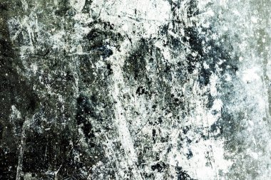 Ağaç kabuğuna yakın çekim