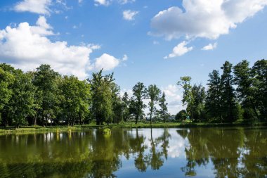 Arkasında bir göl olan güzel bir manzara.
