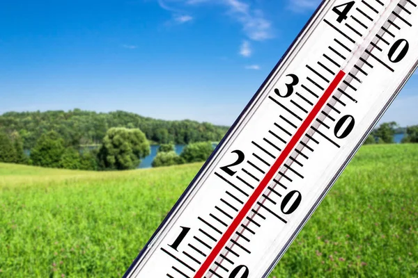 Zielona Trawa Termometrem Tle Lasu — Zdjęcie stockowe