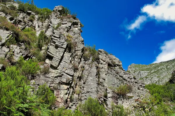 Berg Och Dalar Landskap Redes Naturpark Asturien Spanien Europa — Stockfoto