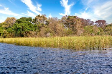 Okavango Bataklıkları, Okavango Deltası, UNESCO Dünya Mirası Alanı, Ramsar Wetland, Botswana, Afrika