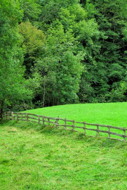 Tepeler ve Vadiler Peyzajı, Doğal Parkı Yenileme, Asturias Prensliği, İspanya, Avrupa