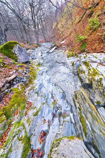 Petrechema Ravine Petrechema River Beech Forest Gamueta Linza Valley Valles — Stock fotografie