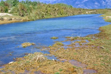 Babai Nehri, Kraliyet Bardia Ulusal Parkı, Bardiya Ulusal Parkı, Nepal, Asya