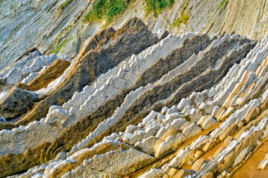 Flysch, Flysch Cliffs, Bask Sahili UNESCO Global Geopark Ağı, Avrupa Geopark Ağı, Zumaia, Guipuzcoa, Bask Ülkesi, İspanya, Avrupa