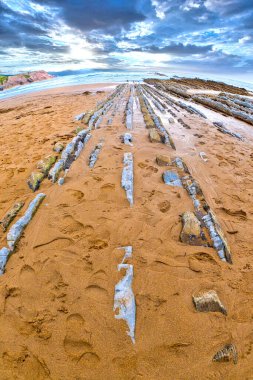Flysch, Flysch Cliffs, Bask Sahili UNESCO Global Geopark Ağı, Avrupa Geopark Ağı, Zumaia, Guipuzcoa, Bask Ülkesi, İspanya, Avrupa