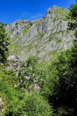 Tepeler ve vadiler boyunca gezmek, Doğal Parkı Yenilemek, Asturias Prensliği, İspanya, Avrupa