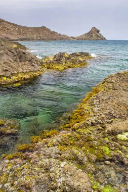 Las Sirenas Resifi, Denizkızları Resifi, Cabo de Gata-Nijar Doğal Parkı, Biyosfer Rezervi, Almerya, Endülüs, İspanya, Avrupa