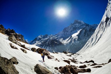 Machapuchare Kutsal Dağı, Balık Kuyruğu, Annapurna Ana Kampı, Annapurna Koruma Alanı, Annapurna Dağları, Himalaya Dağları, Nepal, Asya