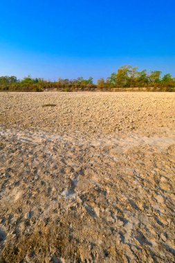 Kuru Nehir Yatağı, Bataklıklar, Kraliyet Bardia Ulusal Parkı, Bardiya Ulusal Parkı, Nepal, Asya