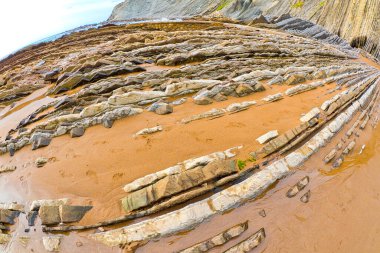 Flysch, Flysch Cliffs, Bask Sahili UNESCO Global Geopark Ağı, Avrupa Geopark Ağı, Zumaia, Guipzcuoa, Bask Ülkesi, İspanya, Avrupa