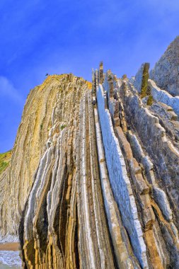 Flysch, Flysch Cliffs, Bask Sahili UNESCO Global Geopark Ağı, Avrupa Geopark Ağı, Zumaia, Guipuzcoa, Bask Ülkesi, İspanya, Avrupa