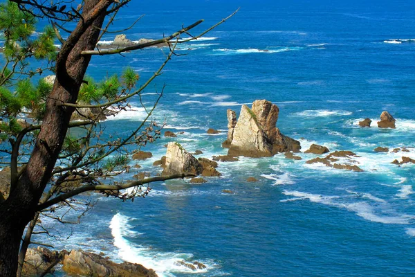 Sessiz Plaj Yakınlarındaki Cantabric Sea Clifs Asturias Prensliği Asturias Spanya — Stok fotoğraf