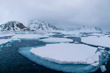 Drift floating Ice, Albert I Land, Arctic, Spitsbergen, Svalbard, Norway, Europe clipart