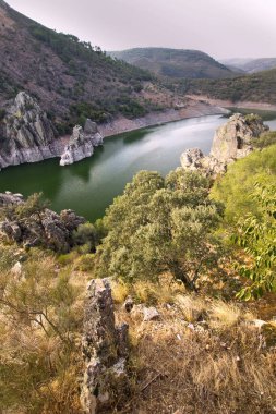 Salto del Gitano Gözlemevi, Tajo Nehri, Monfrague Milli Parkı, SPA, ZEPA, Biyosfer Rezervi, Caceres Eyaleti, Extremadura, İspanya, Avrupa